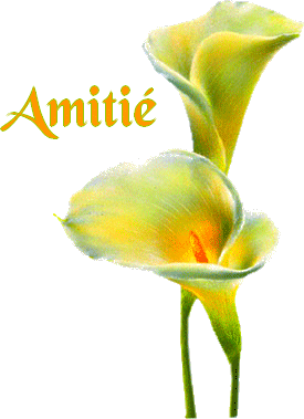l'amitié